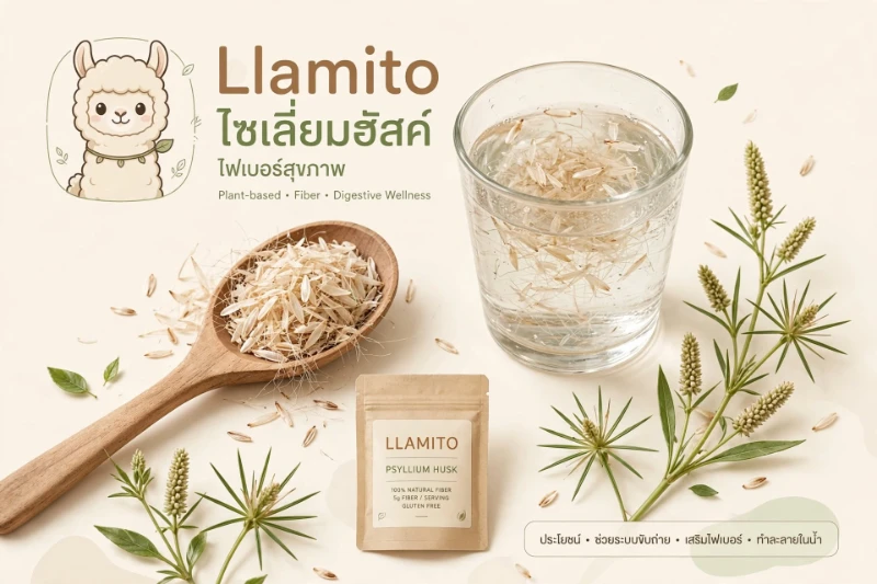 ไซเลี่ยมฮัสค์คืออะไร